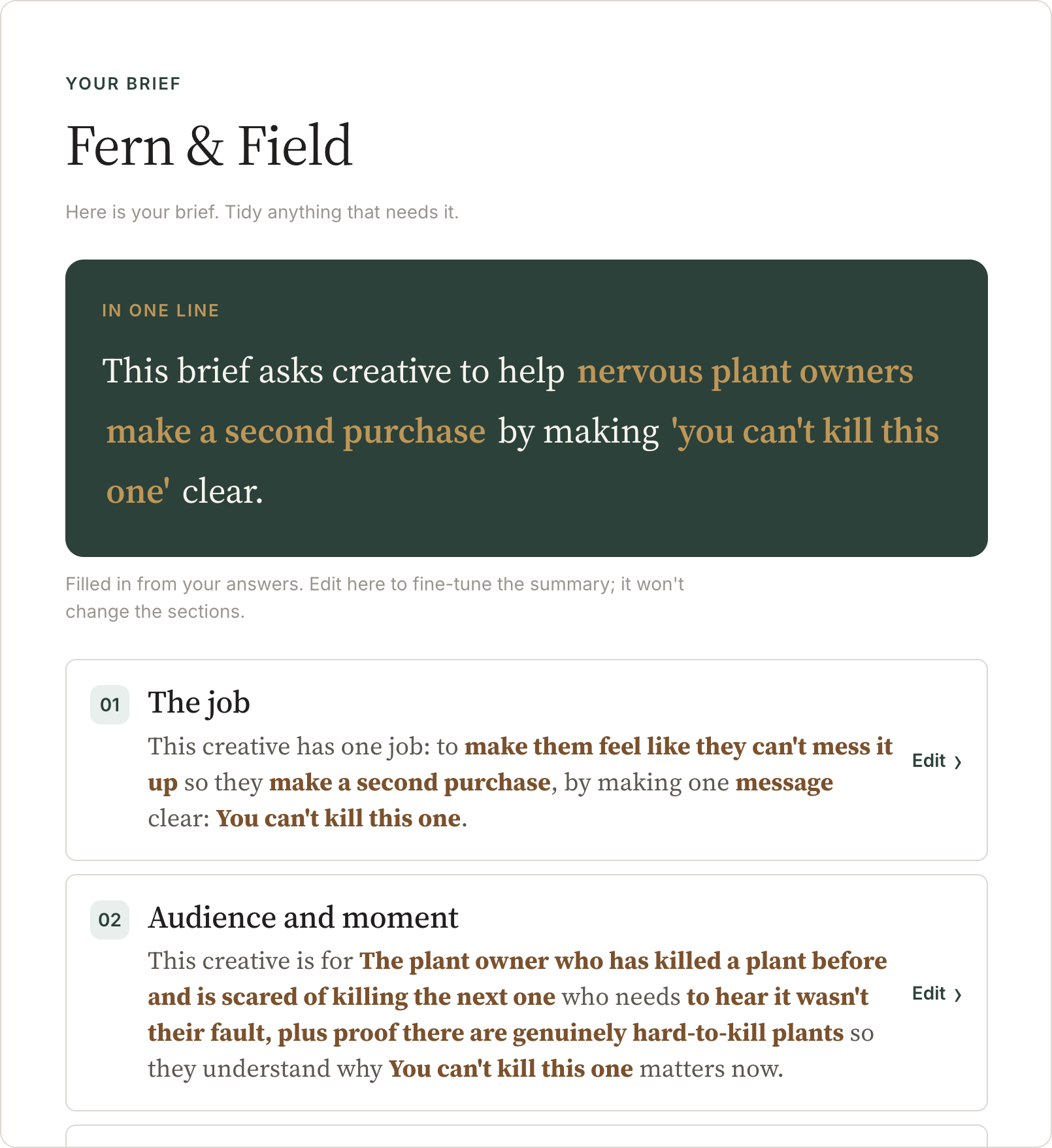 Brief Builder output for Fern and Field: IN ONE LINE summary and numbered brief sections