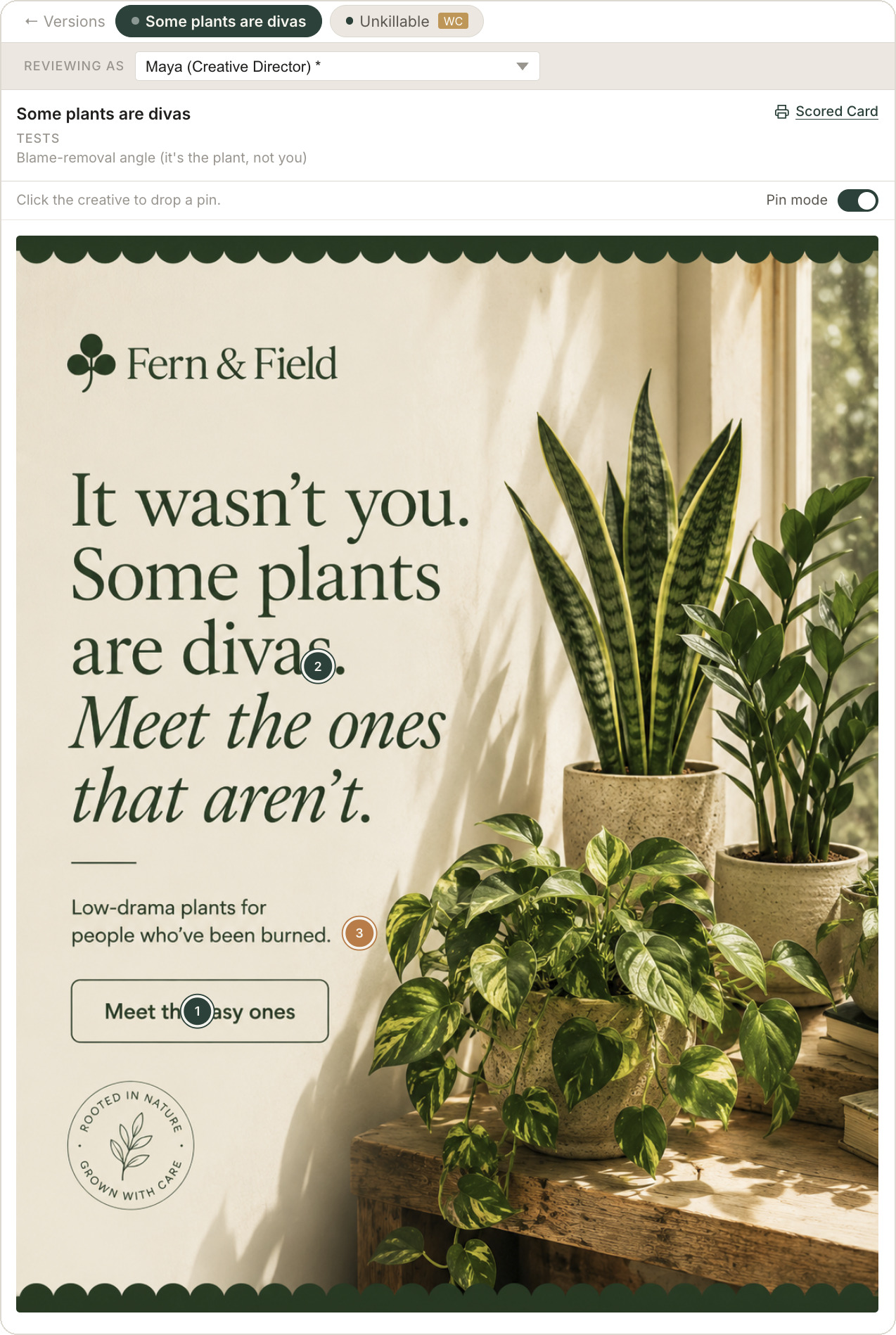 Fern and Field ad creative with review pins marking hierarchy and CTA issues